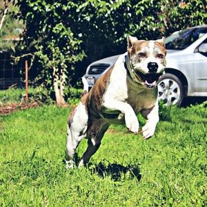 Meet your Posher, Travis